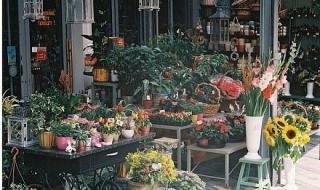 开一家鲜花店大概要多少投资 如何开一家花店
